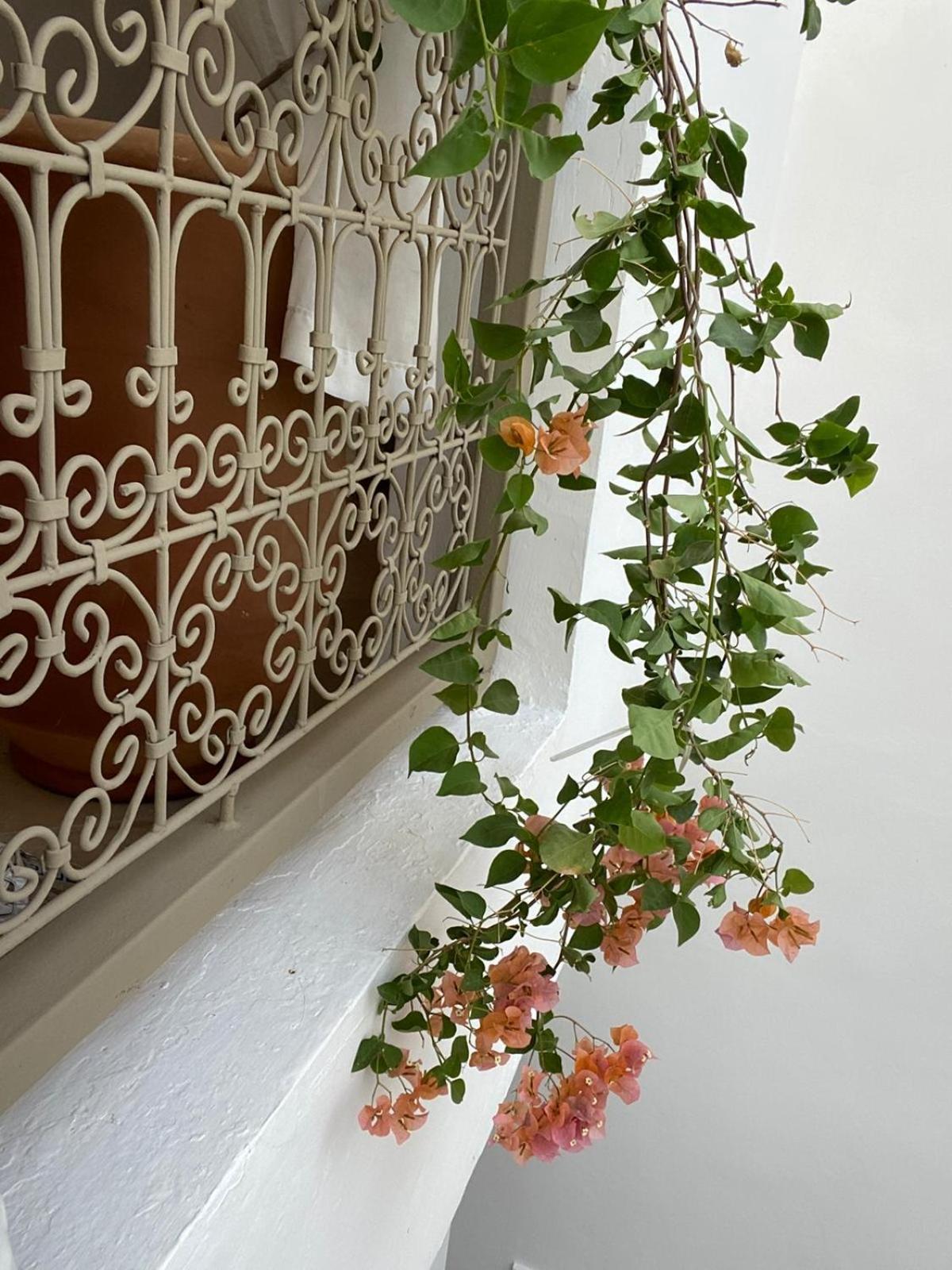 Private House Riad Arlette Exclusive 마라케시 외부 사진